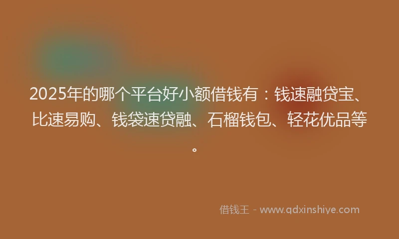 2025年的哪个平台好小额借钱有：钱速融贷宝、比速易购、钱袋速贷融、石榴钱包、轻花优品等。