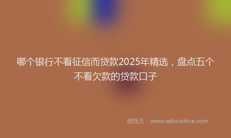 哪个银行不看征信而贷款2025年精选，盘点五个不看欠款的贷款口子