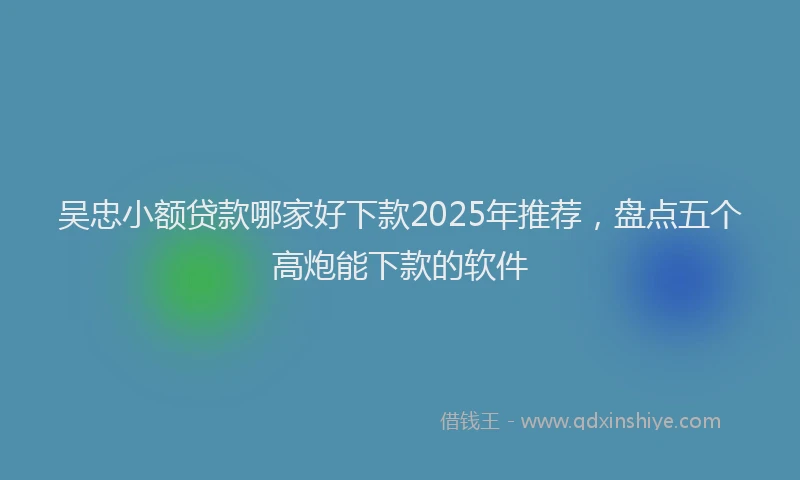 吴忠小额贷款哪家好下款2025年推荐，盘点五个高炮能下款的软件