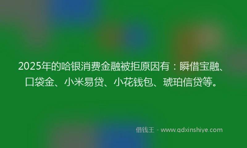 2025年的哈银消费金融被拒原因有：瞬借宝融、口袋金、小米易贷、小花钱包、琥珀信贷等。