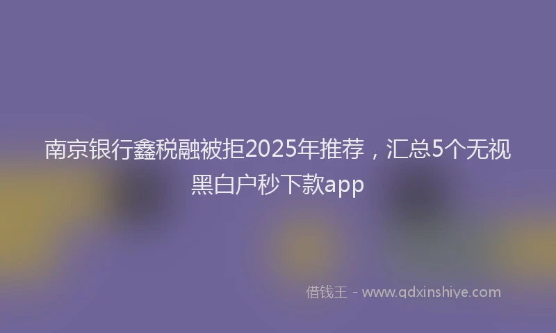 南京银行鑫税融被拒2025年推荐，汇总5个无视黑白户秒下款app