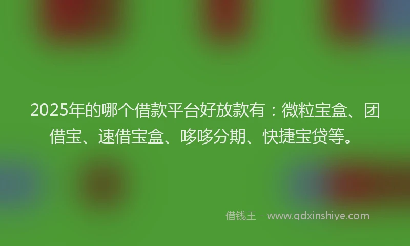 2025年的哪个借款平台好放款有：微粒宝盒、团借宝、速借宝盒、哆哆分期、快捷宝贷等。
