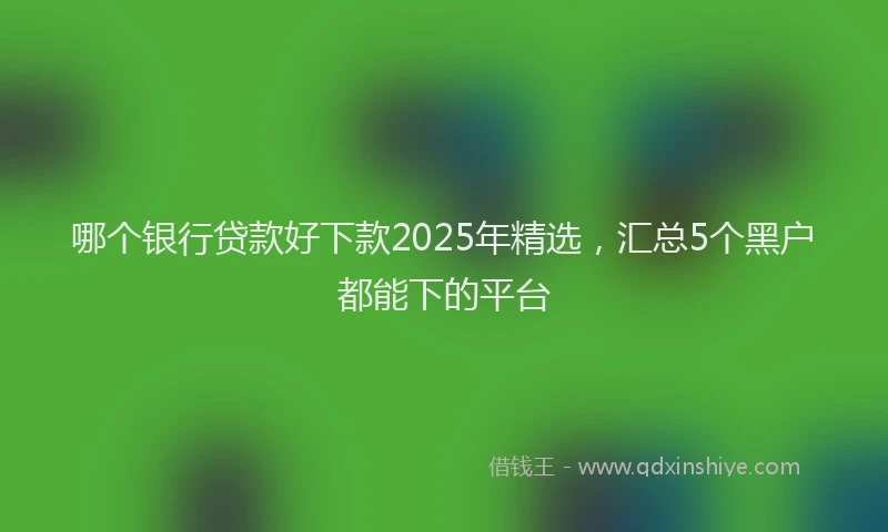 哪个银行贷款好下款2025年精选，汇总5个黑户都能下的平台