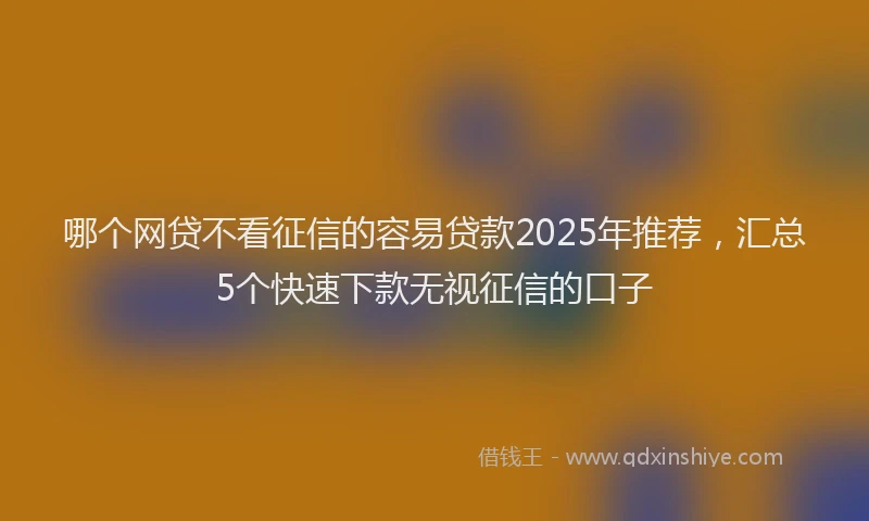 哪个网贷不看征信的容易贷款2025年推荐，汇总5个快速下款无视征信的口子