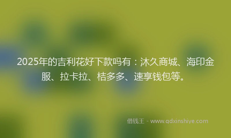 2025年的吉利花好下款吗有：沐久商城、海印金服、拉卡拉、桔多多、速享钱包等。