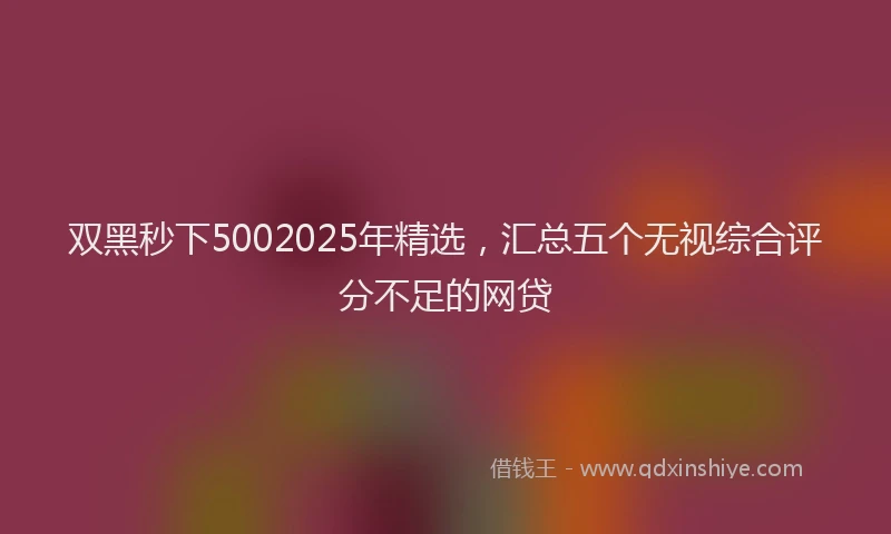 双黑秒下5002025年精选，汇总五个无视综合评分不足的网贷