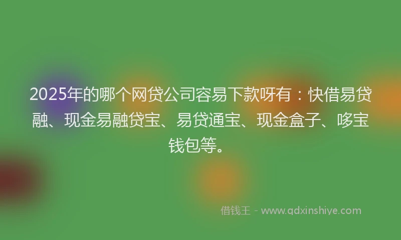2025年的哪个网贷公司容易下款呀有：快借易贷融、现金易融贷宝、易贷通宝、现金盒子、哆宝钱包等。