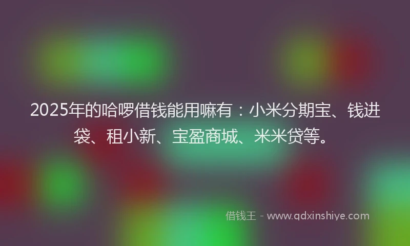 2025年的哈啰借钱能用嘛有：小米分期宝、钱进袋、租小新、宝盈商城、米米贷等。