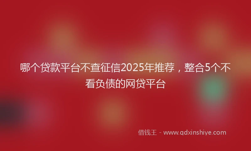 哪个贷款平台不查征信2025年推荐，整合5个不看负债的网贷平台