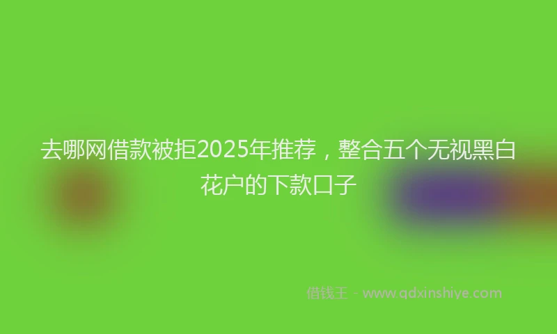 去哪网借款被拒2025年推荐，整合五个无视黑白花户的下款口子