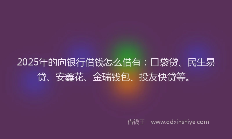 2025年的向银行借钱怎么借有：口袋贷、民生易贷、安鑫花、金瑞钱包、投友快贷等。