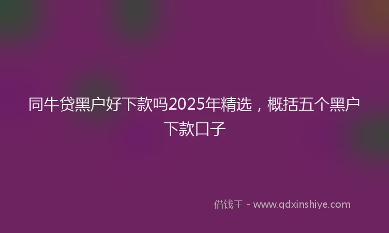 同牛贷黑户好下款吗2025年精选，概括五个黑户下款口子