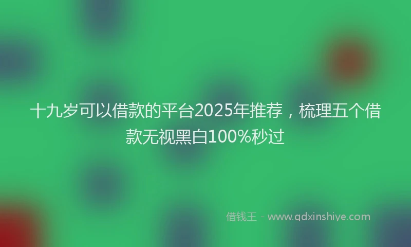 十九岁可以借款的平台2025年推荐，梳理五个借款无视黑白100%秒过