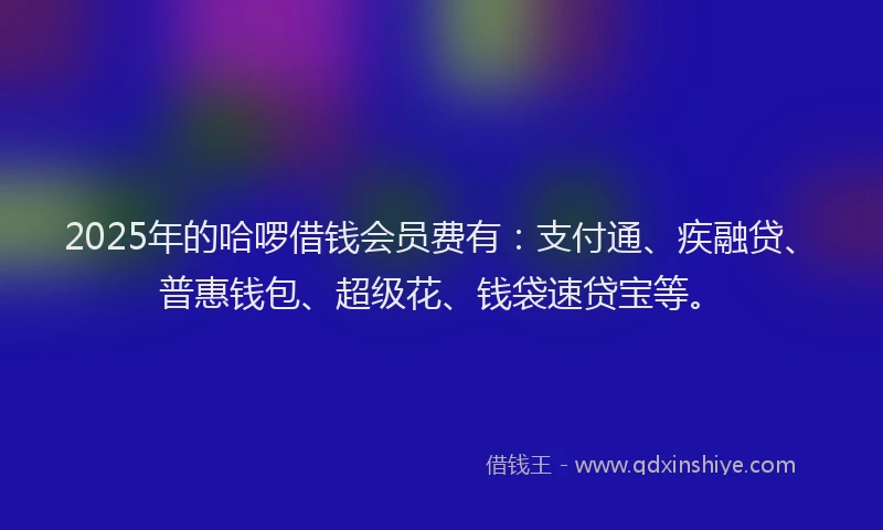 2025年的哈啰借钱会员费有：支付通、疾融贷、普惠钱包、超级花、钱袋速贷宝等。