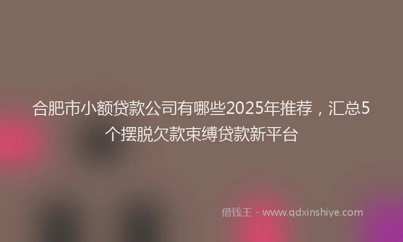 合肥市小额贷款公司有哪些2025年推荐，汇总5个摆脱欠款束缚贷款新平台