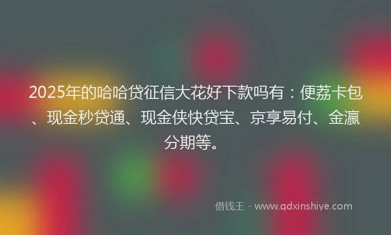 2025年的哈哈贷征信大花好下款吗有：便荔卡包、现金秒贷通、现金侠快贷宝、京享易付、金瀛分期等。