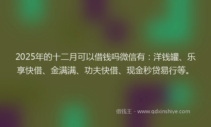 2025年的十二月可以借钱吗微信有：洋钱罐、乐享快借、金满满、功夫快借、现金秒贷易行等。
