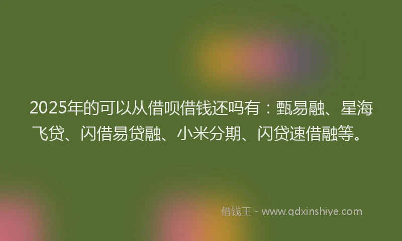2025年的可以从借呗借钱还吗有：甄易融、星海飞贷、闪借易贷融、小米分期、闪贷速借融等。