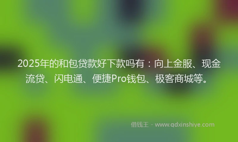 2025年的和包贷款好下款吗有：向上金服、现金流贷、闪电通、便捷Pro钱包、极客商城等。