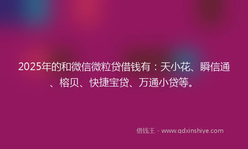 2025年的和微信微粒贷借钱有：天小花、瞬信通、榕贝、快捷宝贷、万通小贷等。