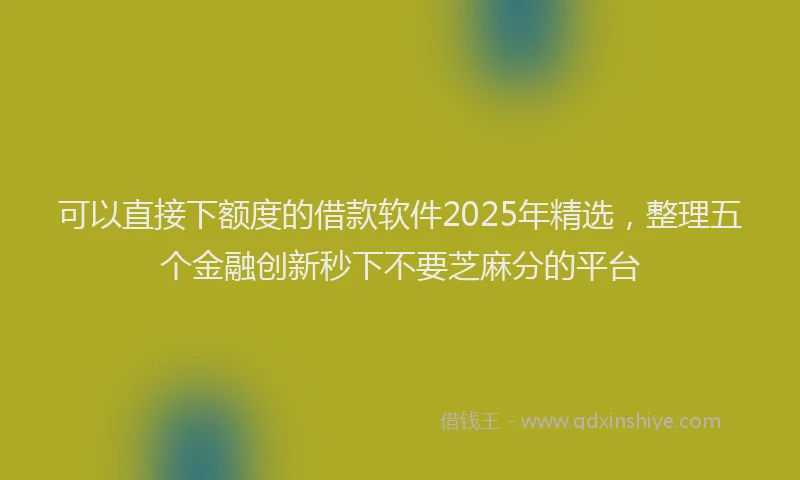 可以直接下额度的借款软件2025年精选，整理五个金融创新秒下不要芝麻分的平台