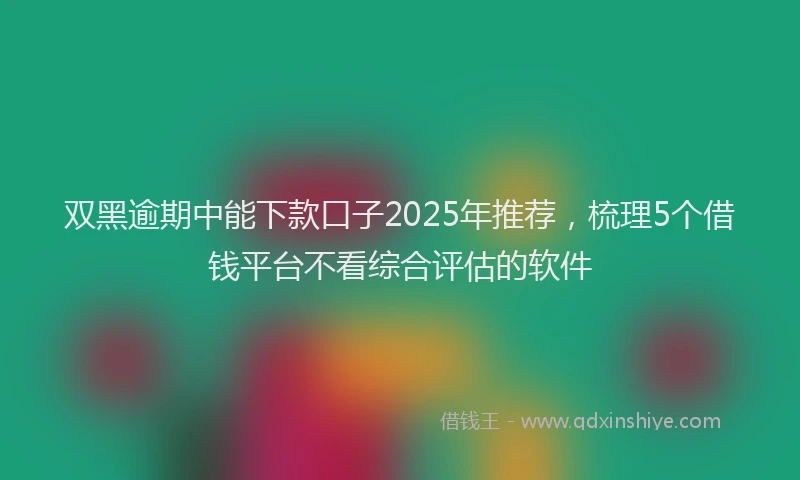 双黑逾期中能下款口子2025年推荐，梳理5个借钱平台不看综合评估的软件