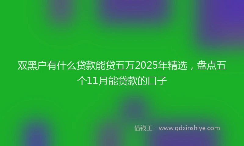 双黑户有什么贷款能贷五万2025年精选，盘点五个11月能贷款的口子