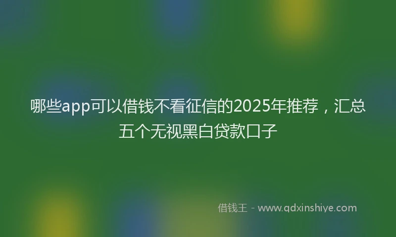 哪些app可以借钱不看征信的2025年推荐，汇总五个无视黑白贷款口子