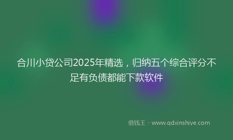 合川小贷公司2025年精选，归纳五个综合评分不足有负债都能下款软件