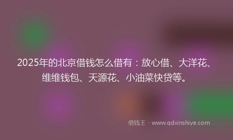 2025年的北京借钱怎么借有：放心借、大洋花、维维钱包、天源花、小油菜快贷等。