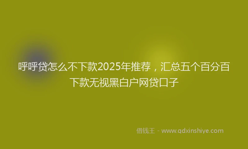 呼呼贷怎么不下款2025年推荐，汇总五个百分百下款无视黑白户网贷口子