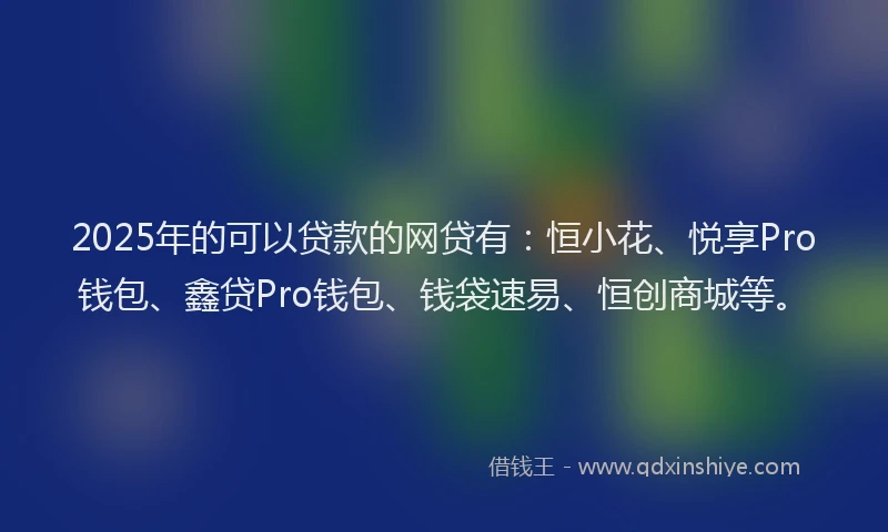 2025年的可以贷款的网贷有：恒小花、悦享Pro钱包、鑫贷Pro钱包、钱袋速易、恒创商城等。