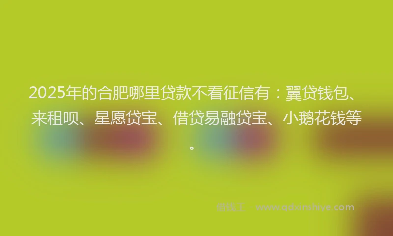 2025年的合肥哪里贷款不看征信有：翼贷钱包、来租呗、星愿贷宝、借贷易融贷宝、小鹅花钱等。