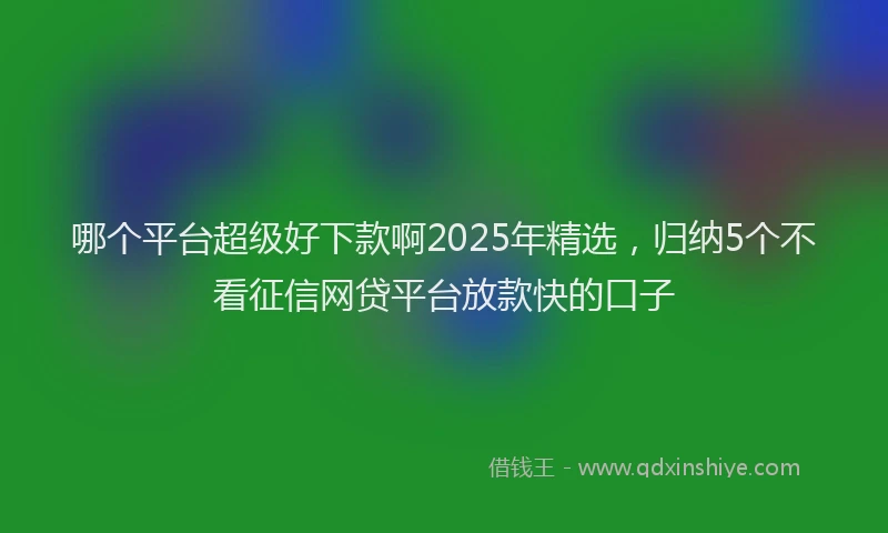 哪个平台超级好下款啊2025年精选，归纳5个不看征信网贷平台放款快的口子