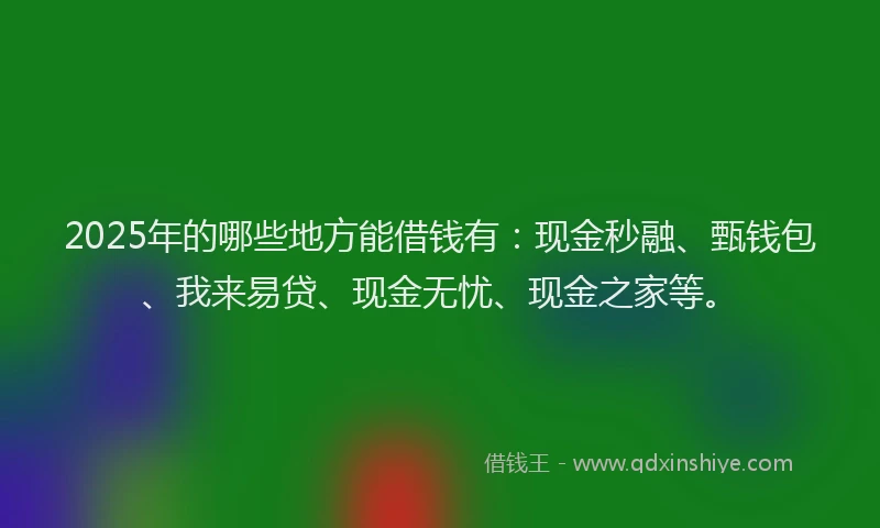 2025年的哪些地方能借钱有：现金秒融、甄钱包、我来易贷、现金无忧、现金之家等。