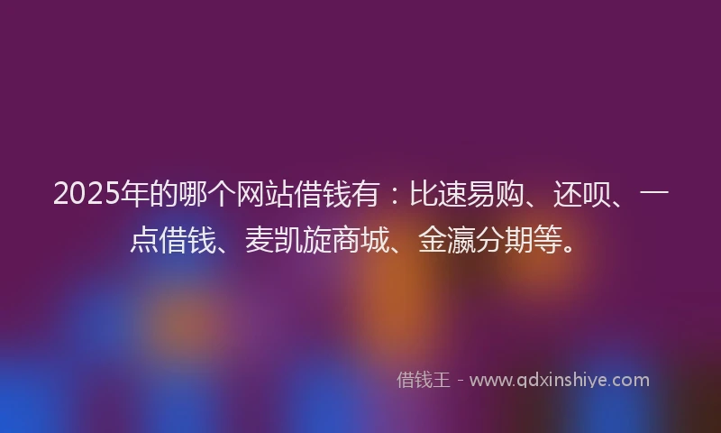 2025年的哪个网站借钱有：比速易购、还呗、一点借钱、麦凯旋商城、金瀛分期等。