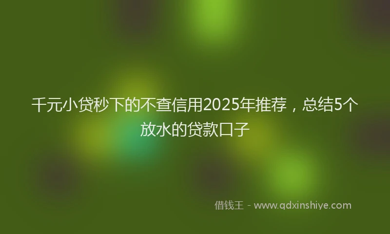 千元小贷秒下的不查信用2025年推荐，总结5个放水的贷款口子