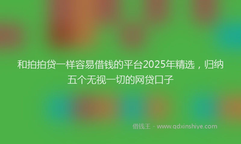 和拍拍贷一样容易借钱的平台2025年精选，归纳五个无视一切的网贷口子
