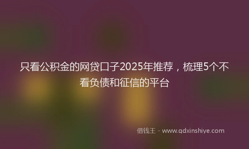 只看公积金的网贷口子2025年推荐，梳理5个不看负债和征信的平台