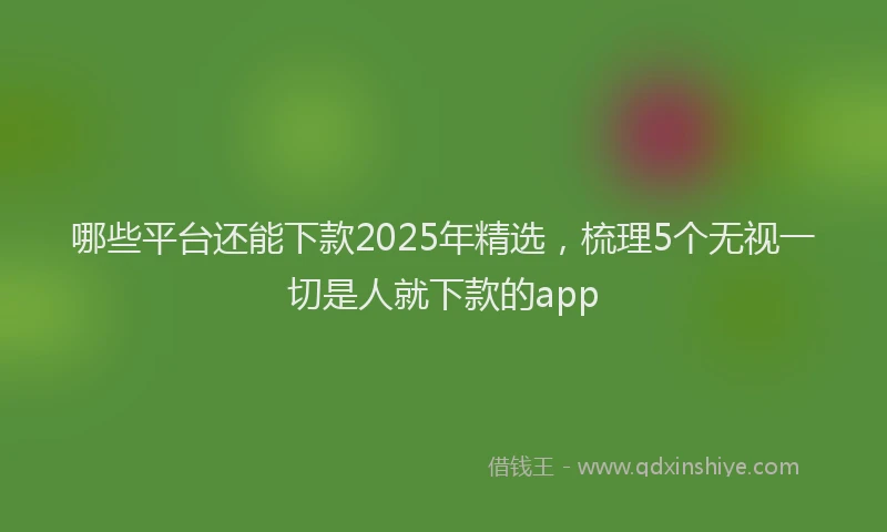 哪些平台还能下款2025年精选，梳理5个无视一切是人就下款的app