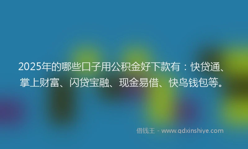 2025年的哪些口子用公积金好下款有：快贷通、掌上财富、闪贷宝融、现金易借、快鸟钱包等。