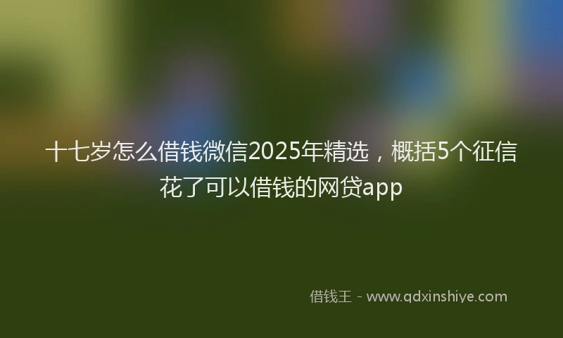 十七岁怎么借钱微信2025年精选，概括5个征信花了可以借钱的网贷app