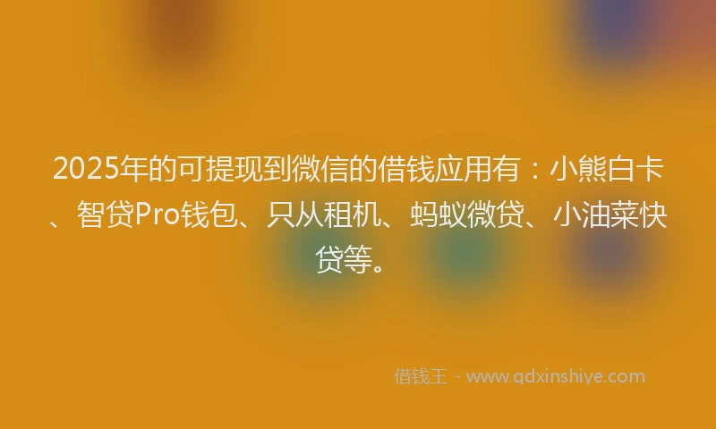 2025年的可提现到微信的借钱应用有：小熊白卡、智贷Pro钱包、只从租机、蚂蚁微贷、小油菜快贷等。