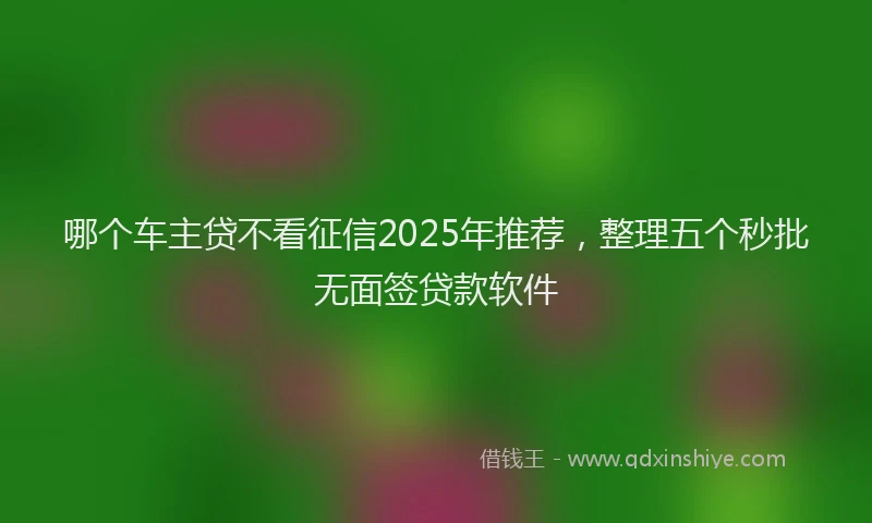 哪个车主贷不看征信2025年推荐，整理五个秒批无面签贷款软件