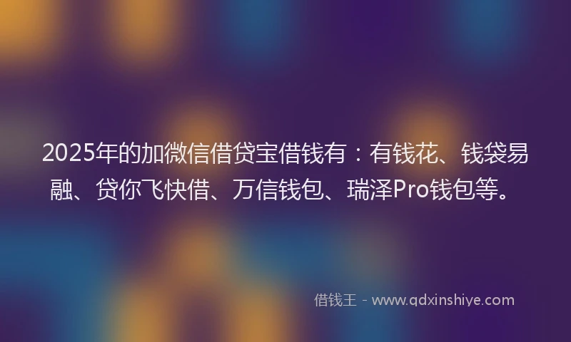 2025年的加微信借贷宝借钱有：有钱花、钱袋易融、贷你飞快借、万信钱包、瑞泽Pro钱包等。