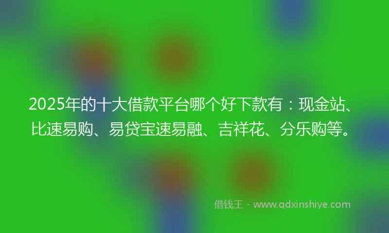2025年的十大借款平台哪个好下款有：现金站、比速易购、易贷宝速易融、吉祥花、分乐购等。