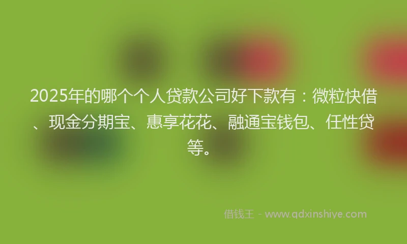 2025年的哪个个人贷款公司好下款有：微粒快借、现金分期宝、惠享花花、融通宝钱包、任性贷等。