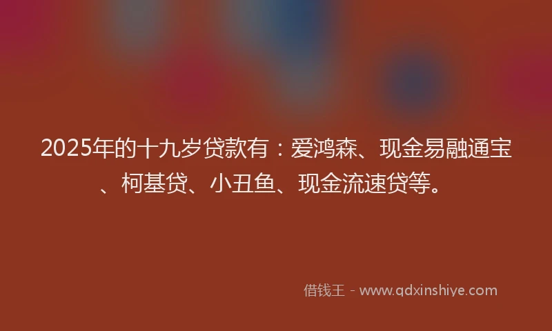 2025年的十九岁贷款有：爱鸿森、现金易融通宝、柯基贷、小丑鱼、现金流速贷等。
