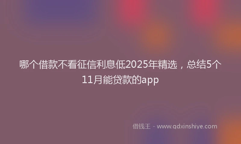 哪个借款不看征信利息低2025年精选，总结5个11月能贷款的app