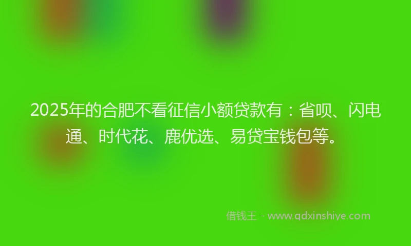 2025年的合肥不看征信小额贷款有：省呗、闪电通、时代花、鹿优选、易贷宝钱包等。
